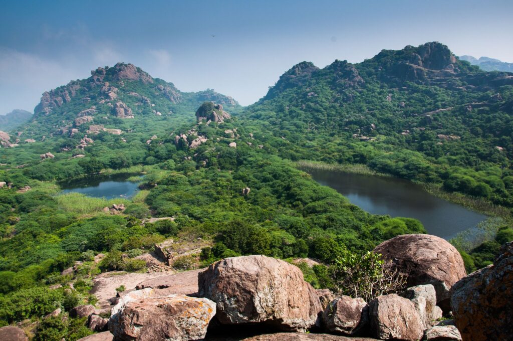 Top 5 Marketing Agency In Guntur